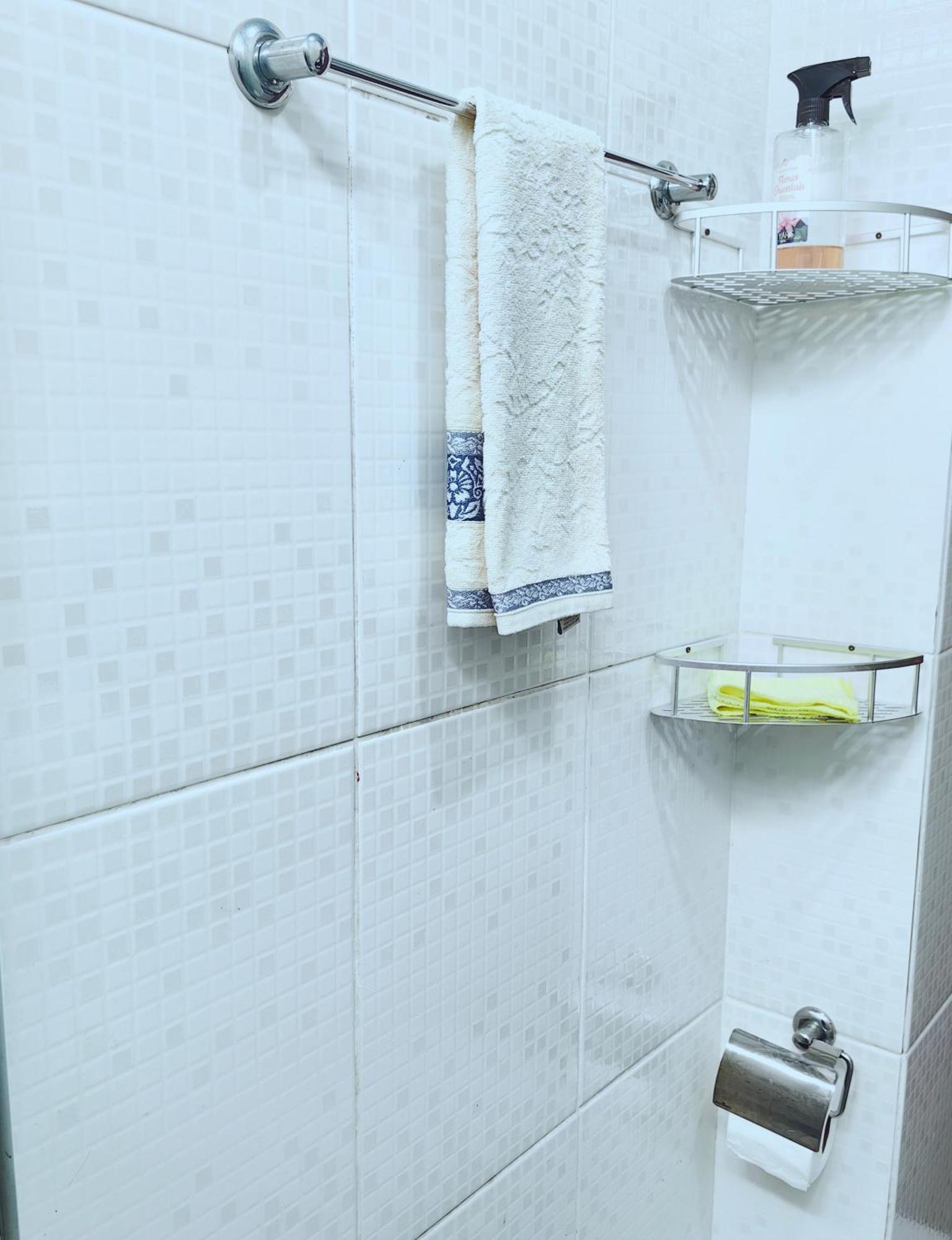 Apartamento Apartamento No Centro Do Florianopolis. Todos Os Moveis E Ventiladores, Wi-fi, Cozinha Completa, Acomoda Ate 4 Pessoas. No Coracao De Perto De Tudo! Desfrute Do Centro E Trapeche De Beiramar Norte De Floripa Com Uma Bela Caminhada . *